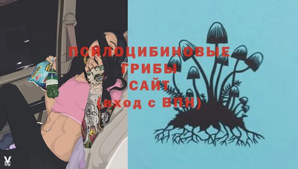 бутират Богданович