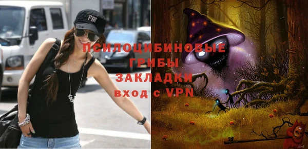 прущий лед Богородск