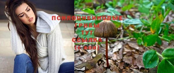 кристаллы Богородицк