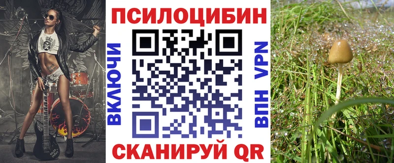 Галлюциногенные грибы Cubensis  kraken сайт  Волчанск 